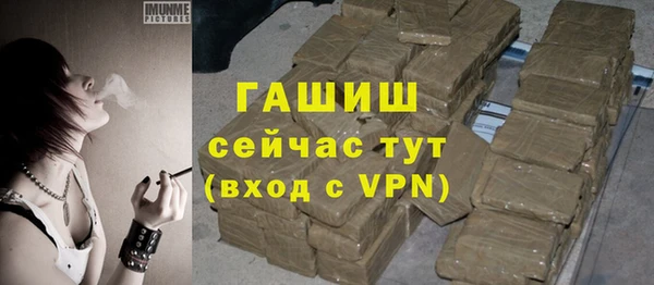 молекула духа Богородицк