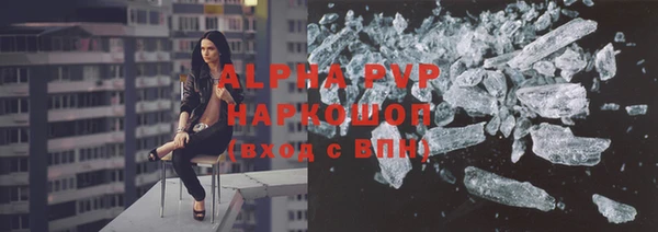 твердый Богданович