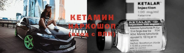 прущие грибы Богородск
