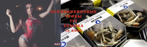 прущие грибы Богородск