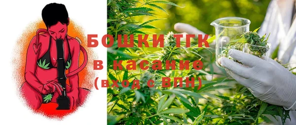 молекула духа Богородицк