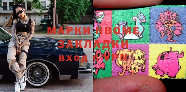 молекула духа Богородицк