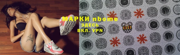 твердый Богданович