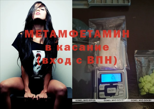 прущие грибы Богородск