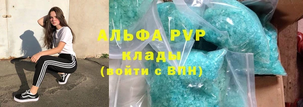 молекула духа Богородицк