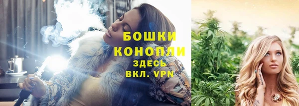 молекула духа Богородицк