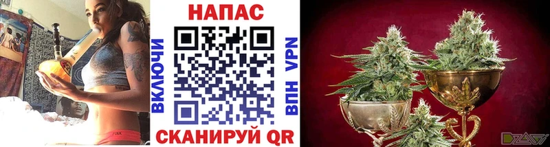 где купить   Берёзовский  МАРИХУАНА семена 